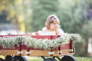 southern-wedding-flower-girl-wagon